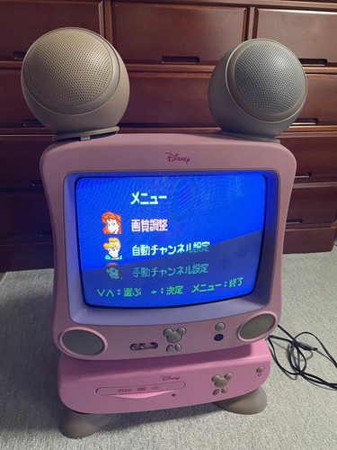 Disney princess crt dvd - 14", tv